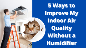 5 Ways to Improve My Indoor Air Quality Without a Humidifier