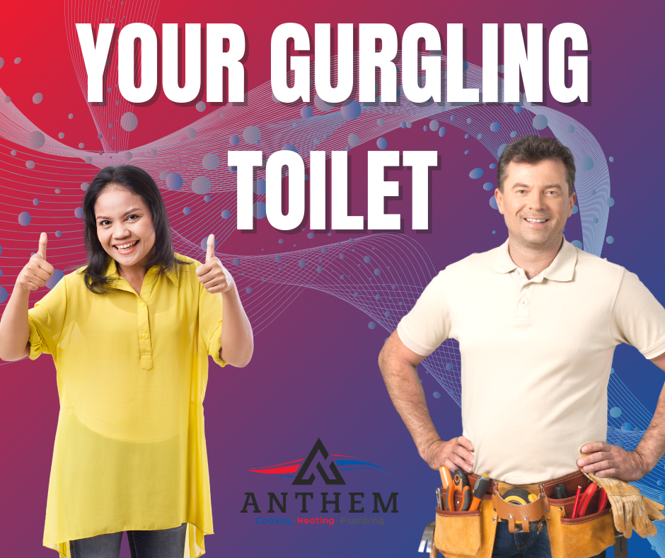 Your-Gurgling-Toilet.png