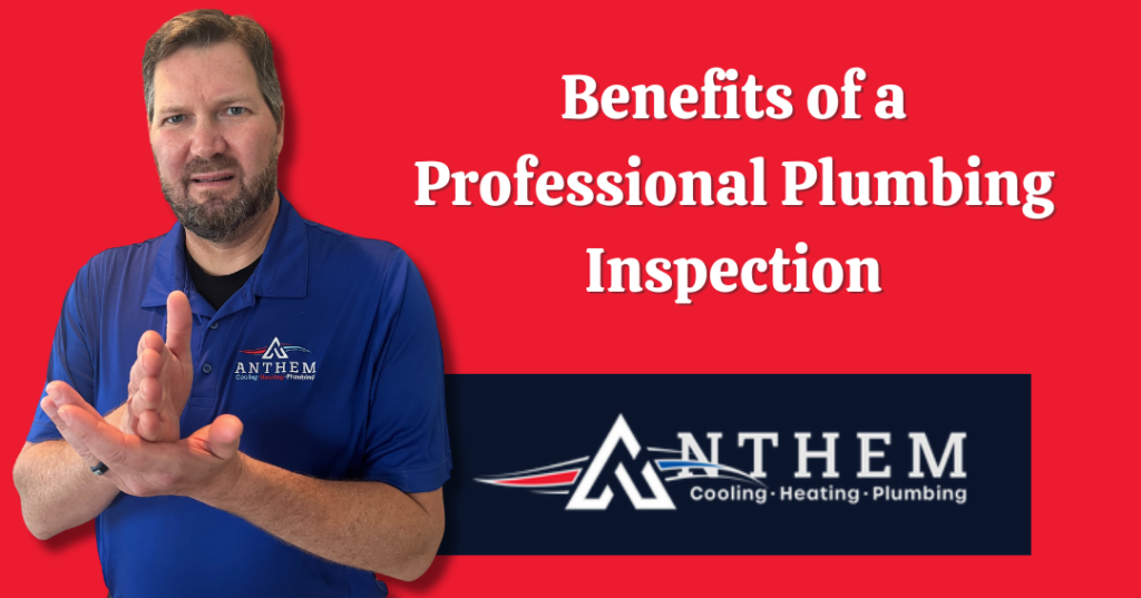 Benefits of a Professional Plumbing Inspection