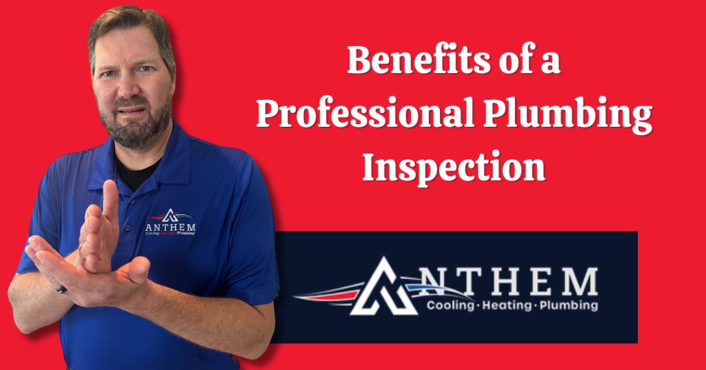 Benefits of a Professional Plumbing Inspection